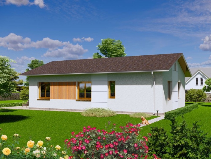 projekt domu o powierzchni 109 m2 Trypillya 2 Tylna fasada