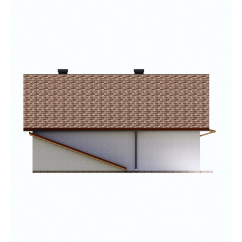 задній фасад будинку 110 м2 Господарча споруда