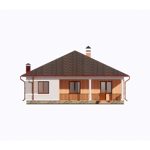 проект одноповерхового будинку дворовий фасад