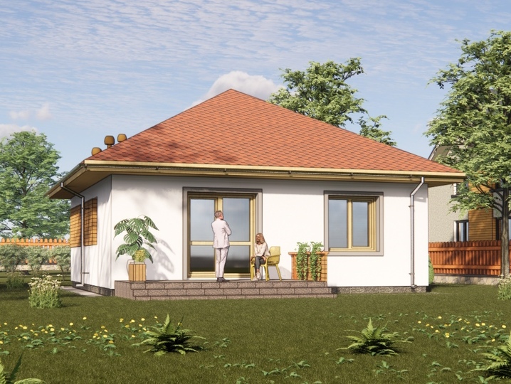 the project of a one-story building Korolek 4 Rear facade