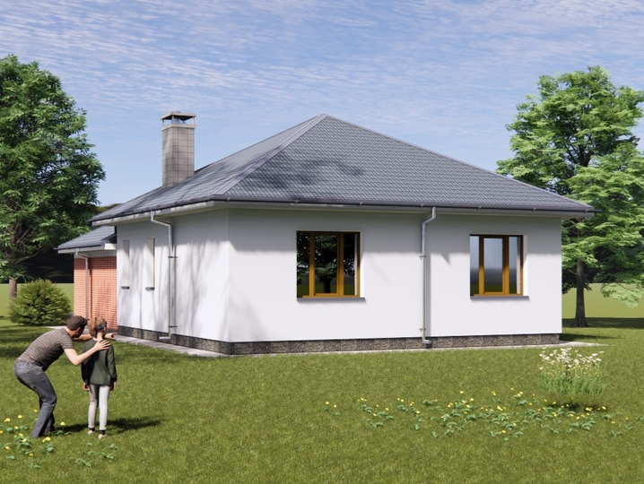 Projekt domu dwupokojowego z garażem - Magnolia Tylna fasada