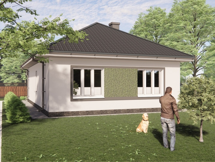 Stock house plans up to 100 sq.m. One-storey three-room house with fireplace and boiler - Kamelia 3 Rear facade