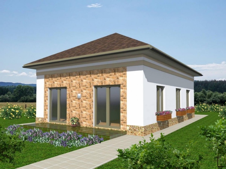 Ready to use projects of one-story houses. Stock house design - Camellia Rear facade