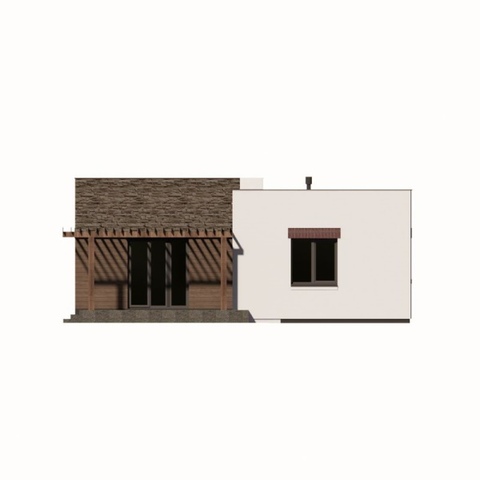 задній фасад одноповерхового будинку Східний 2