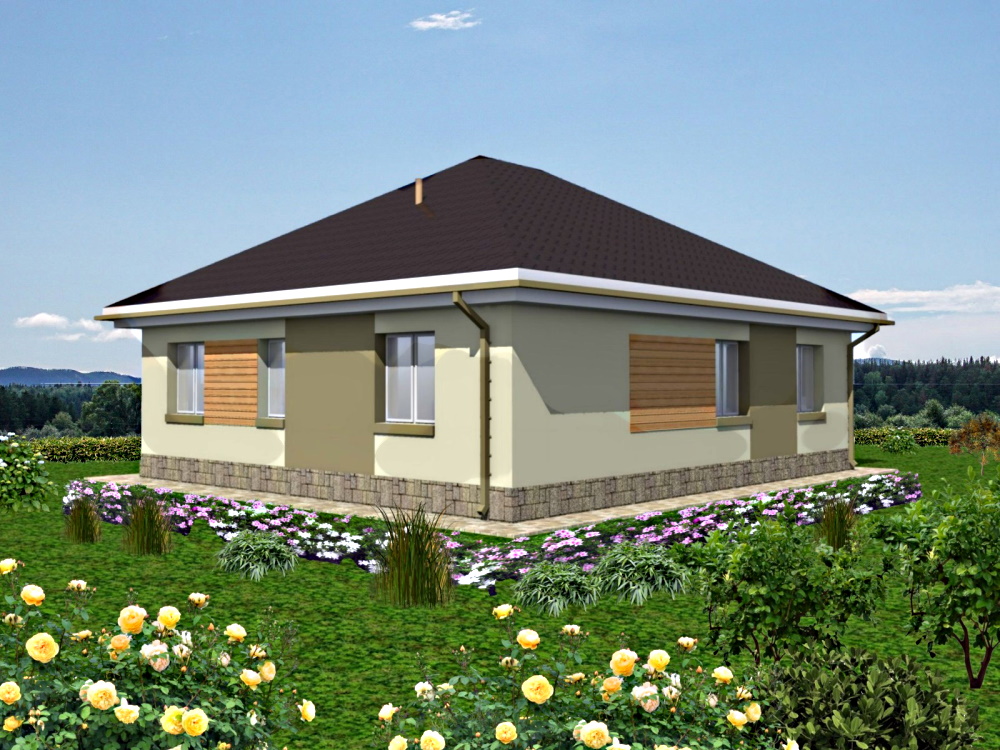 Задній фасад