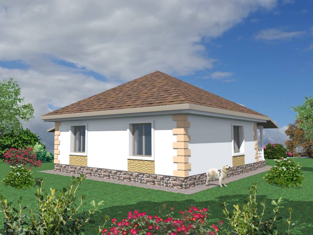 Задній фасад