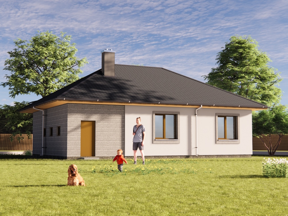 Задній фасад