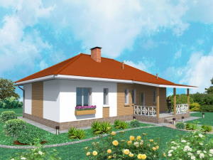 проект будинок одноповерховий Веселінівка