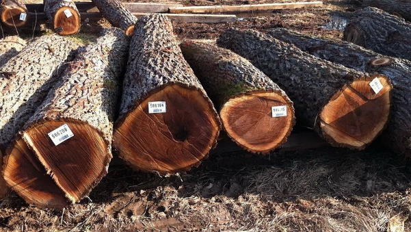 сомнительное качество древесины